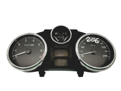 Velocímetro/Instrumentos Y Relojes Peugeot 206+ 9666636980 Magneti 59114