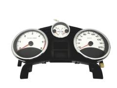 Velocímetro/Instrumentos Y Relojes Peugeot 207 9666749180 A2C53370972 54684
