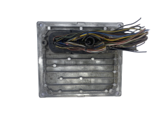 Controlador S120977013C 4S61-12A650-NB Ford Siemens 49542