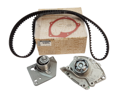 Kit Correia Dentada Nueva Original Renault Megane Scenic 2 1.9 dCi 119A01812R