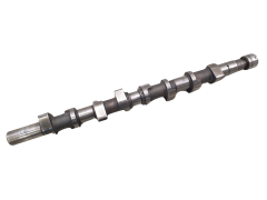 Árbol De Levas 8200884427 555 8200084742 1.9 dCi Renault Volvo