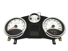 Velocímetro/Instrumentos Y Relojes Peugeot 207 9662904080 A2C53190333 49612