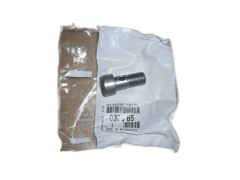 Tornillo Nueva Original 037665 0376.65 Citroen Peugeot