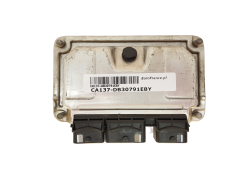 Controlador 0261207318 9648483480 9643897580 PSA Bosch 30791