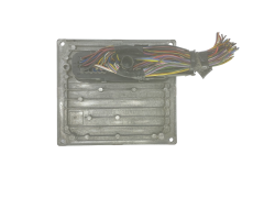 Controlador Ford 6S61-12A650-FD S120977315D 2CJD Siemens 57586
