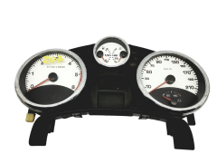 Velocímetro/Instrumentos Y Relojes Peugeot 207 A2C53065549 51562