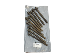 Tornillo Original Renault Nissan 7701478860