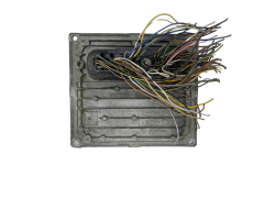 Controlador S120977015G 4S61-12A650-SE SIM210 Ford Siemens 48066