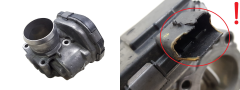Mariposa De Aire Citroen Peugeot 9673534480 1.6 HDI Delphi 3043