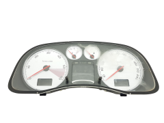 Velocímetro/Instrumentos Y Relojes Peugeot 307 Lift 9655925880 B02 25894