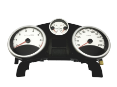 Velocímetro/Instrumentos Y Relojes Peugeot 207 9666132380 A2C53337652 57044