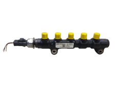 Rampa De Inyectores 1570G2 9654592680 9655465480 6PH1001 1.4 1.6 HDI PSA