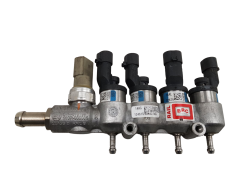 Rampa De Inyectores MTM BRC 09SQ99020021 67R-010185 110R-000005