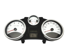 Velocímetro/Instrumentos Y Relojes Peugeot 206+ 9666637180 53258