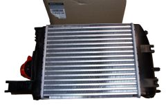 Aire De Radiador Nueva Original 144967634R Renault Dacia