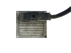Controlador S118107004C 3S61-12A650-CA Ford Siemens 42196