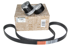 Tensor De La Correa 117209336R Renault