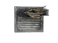 Controlador 4S61-12A650-CB S120977005A 3BMB Ford Siemens 48479