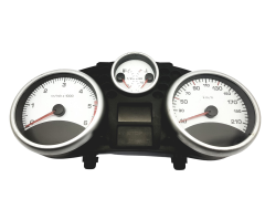 Velocímetro/Instrumentos Y Relojes Peugeot 206+ 9666637280 503001912102 43608