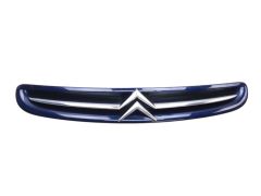 Parrilla 7804J7 9632099177 Citroen Xsara Picasso 99-03 1013