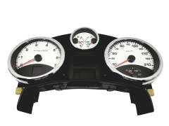 Velocímetro/Instrumentos Y Relojes Peugeot 207 9662904480 A2C53190337 44987