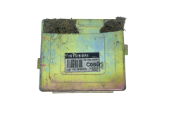Controlador Hyundai 39110-02710 S02808200 55518