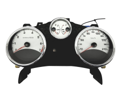 Velocímetro/Instrumentos Y Relojes Peugeot 207 9666748780 49449