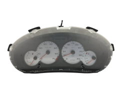Velocímetro/Instrumentos Y Relojes Peugeot 206 9648836680 49091
