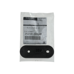 Instalación De La Puerta Original a 2521000QAB 7700352943 Nissan Renault