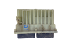 Controlador 24410130 15396912 Opel GM Delphi 54391