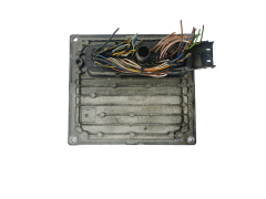 Controlador S118107004C 3S61-12A650-CA Ford Siemens 38231