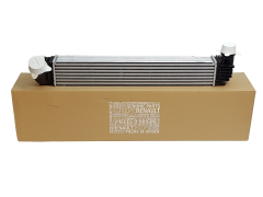 Aire De Radiador Original Renault 144968116R