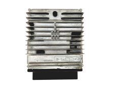 Controlador 3M51-12A650-LB 12240250 Ford Delphi 28393