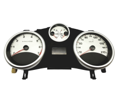 Velocímetro/Instrumentos Y Relojes Peugeot 207 9666132380 A2C53337652 58003
