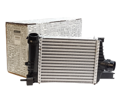 Aire De Radiador Nueva Original Renault Clio 4 Captur Duster 144961381R