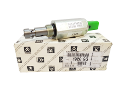 Electroválvula Original Citroen Peugeot C5 C8 2.2  19209G