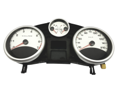 Velocímetro/Instrumentos Y Relojes Peugeot 207 9666132380 A2C53337652 46144