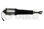 Amortiguador Delantero Derecho 4E0616040AF 46160000201 Audi A8 Vika