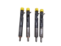 Inyección De Combustible Completo 166000897R H8200827965 1.5 dci Delphi Renault