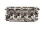 Culata 1.9 DCI F9QA260 6660 Nissan Primera P12
