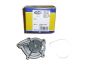 Bomba De Agua MAGNETI MARELLI 350982032000 1201H8