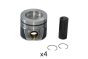 Pistón Del Motor Completo 03L107065S B19302 VW Audi Seat Skoda Borsehung