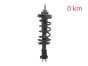 Amortiguador Delantero 543023828R 540100864R 93463333 Renault Trafic 3 2.0 DCI