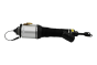Amortiguador Delantero Derecho Para VW Phaeton 3D0616040AB 56160000101 Vika