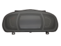Velocímetro/Instrumentos Y Relojes Renault Scenic 4 248100254R 7723