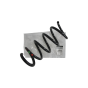 Muelle De La Suspensión Delantero Original 540101780R Renault