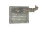 Controlador Ford 6S61-12A650-FD S120977315D 2CJD Siemens 57586