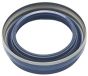 Teniendo El Sello Original Renault  Kangoo 4X4 383424n500