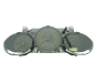 Velocímetro/Instrumentos Y Relojes Honda Jazz HR0337024 78100SAAF500 59