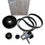Kit Correia Dentada Nueva Original 117200022R Renault 